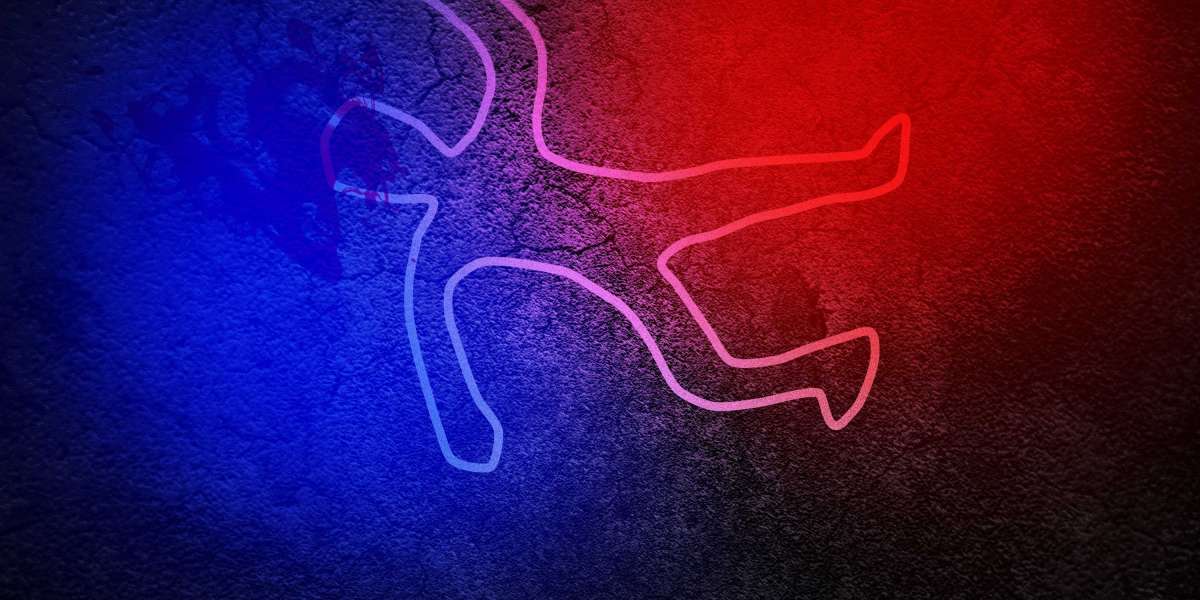 Exploring the Best Private Airlines: A Case Study