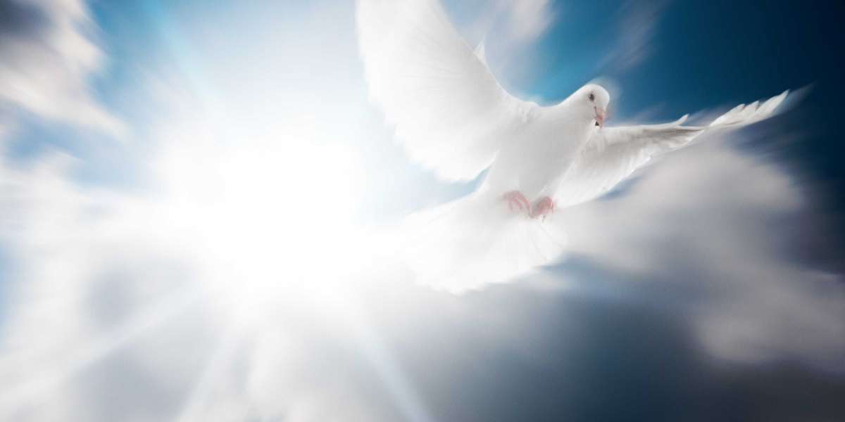 Understanding Personal Loans for Bad Credit in Minnesota