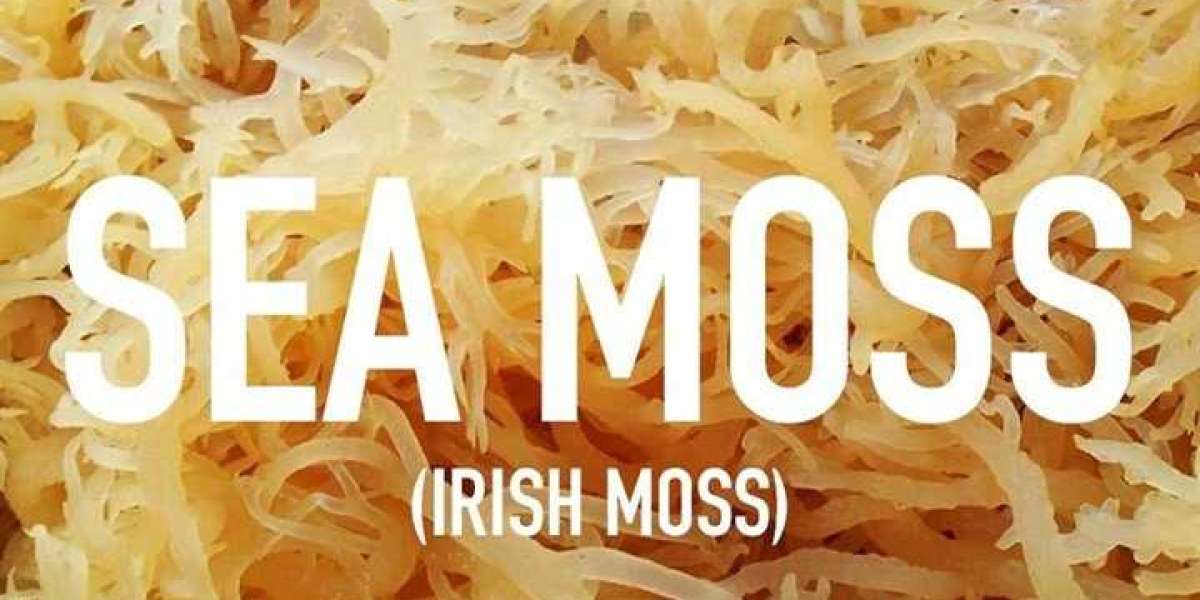 What Are The Benefits Of Sea Moss Sexually?